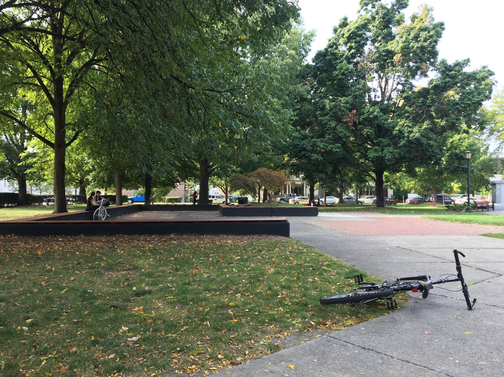 Dewitt Park